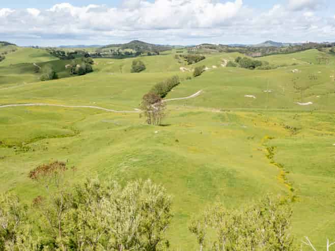 Lot 5 Wharehine Road, Wellsford