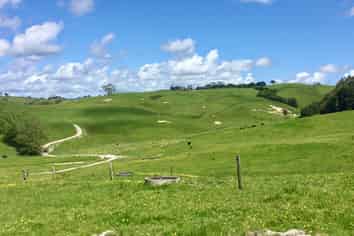 Lot 5 Wharehine Road, Wellsford