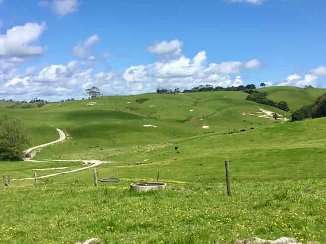 Lot 5 Wharehine Road, Wellsford