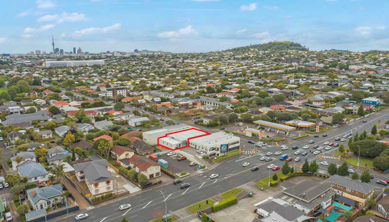 110D Saint Lukes Road, Mount Albert