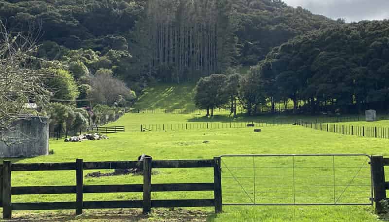 902 State Highway 14, Maungatapere