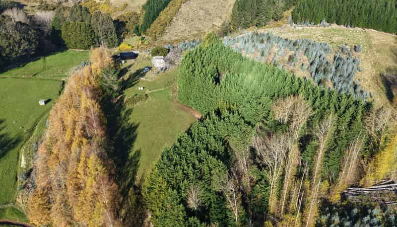 238 Gladstone Road North, Mosgiel