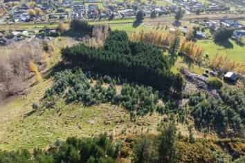 238 Gladstone Road North, Mosgiel