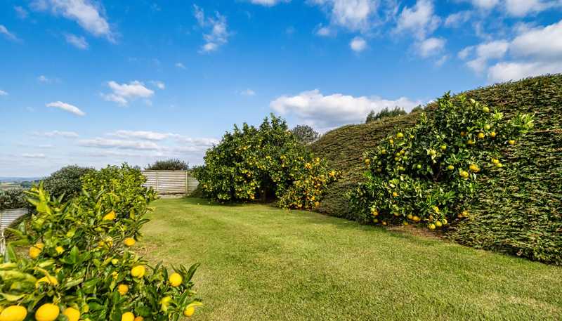 265A Hot Springs Road, Katikati