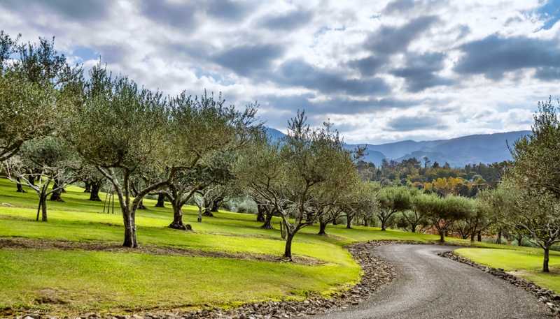 265A Hot Springs Road, Katikati