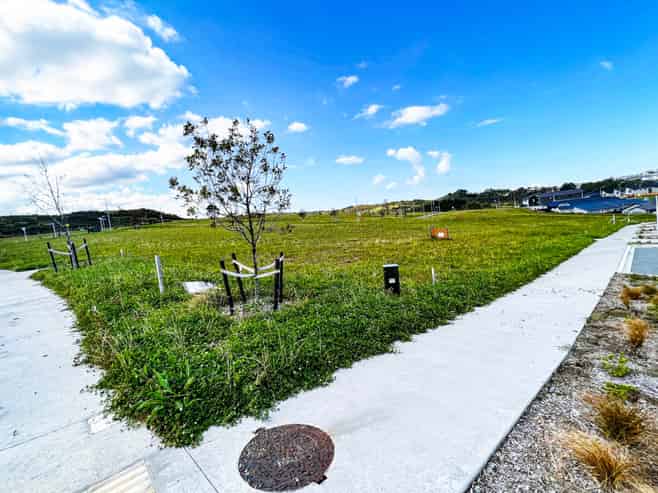 Auckland - Address withheld