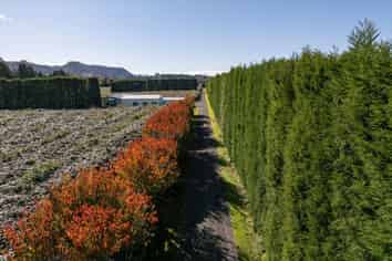 115 Tuapiro Road, Tahawai