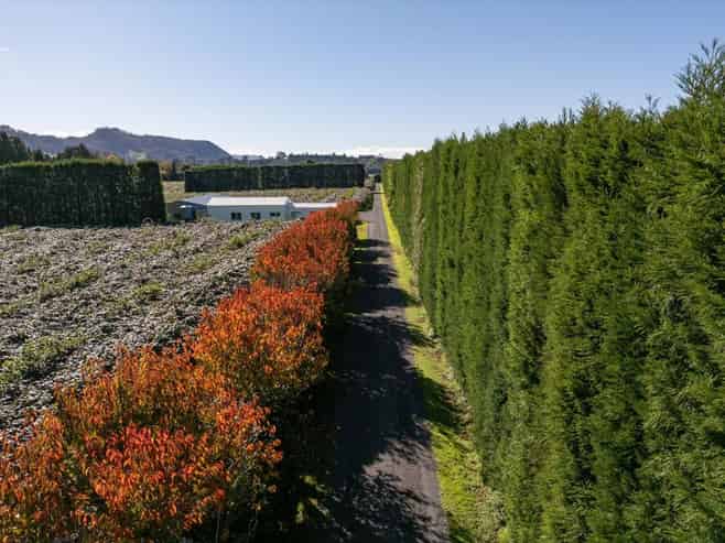 115 Tuapiro Road, Tahawai