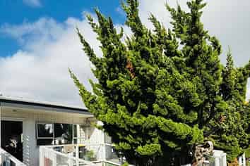 3A Ironside Road, Johnsonville