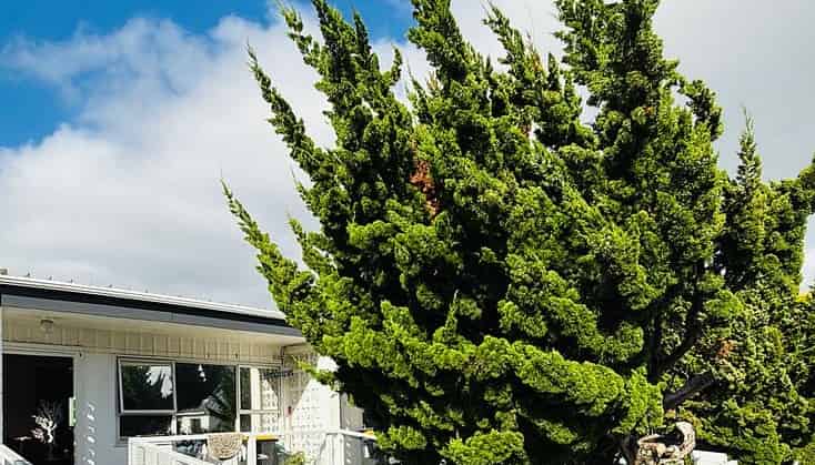 3A Ironside Road, Johnsonville