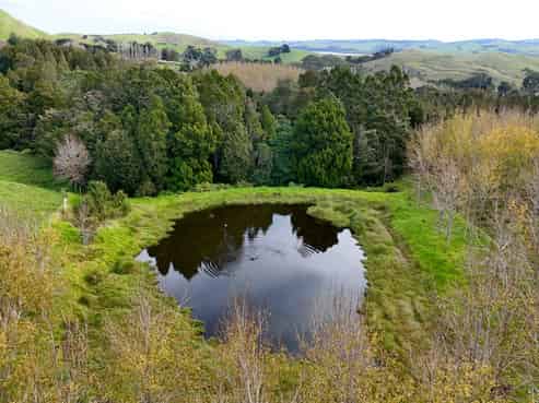4062 Kaipara Coast Highway, Tauhoa