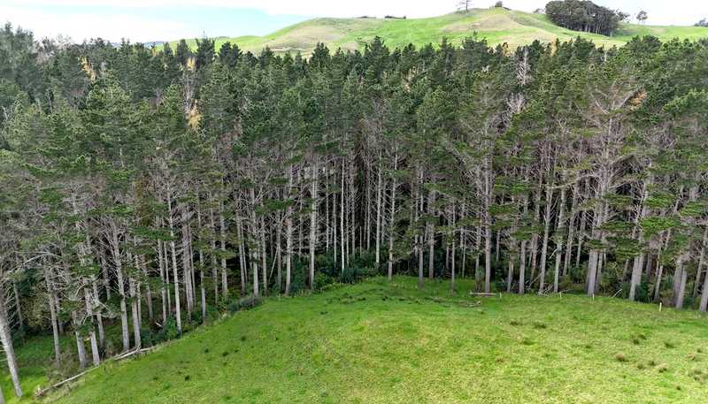 4062 Kaipara Coast Highway, Tauhoa