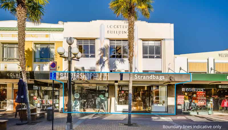 151 & 155 Emerson Street, Napier Central