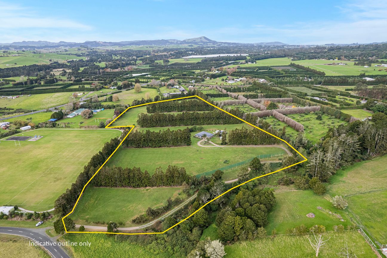 Blank canvas lifestyle with serious potential - Widok 6
