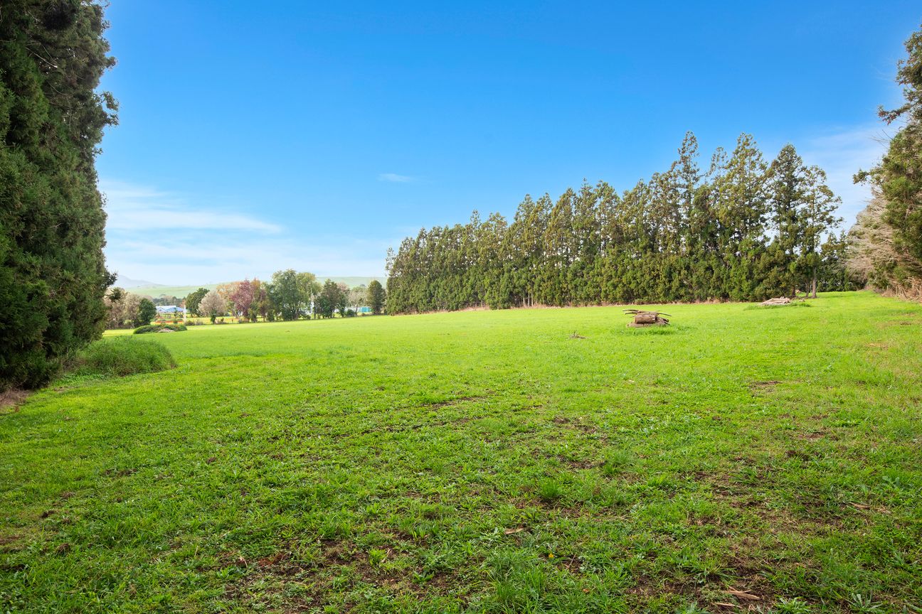 Blank canvas lifestyle with serious potential - Ansicht 6