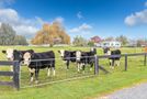 53 Hairini Road, Kihikihi, Waipa, Waikato