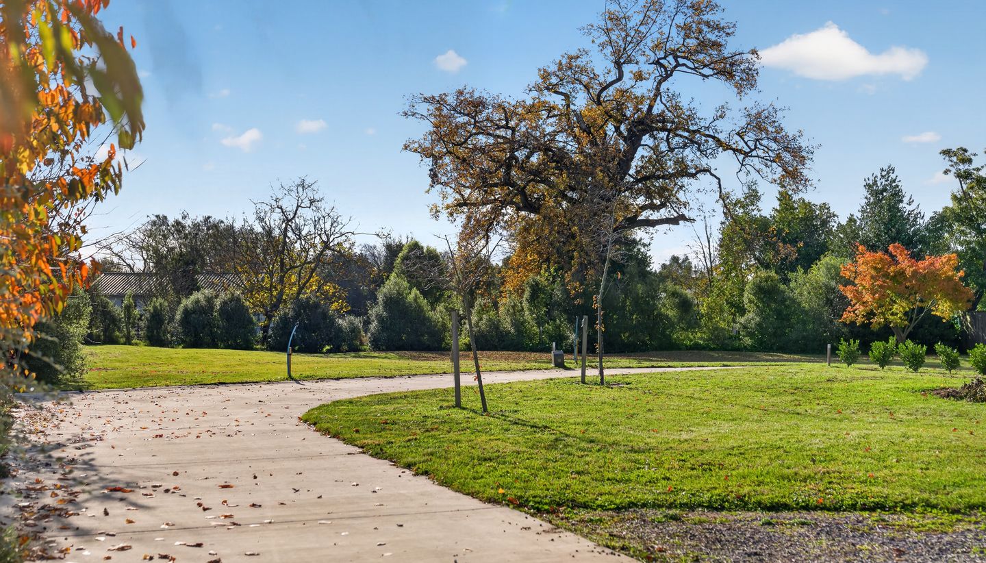 Lot 1-3,16 Albert Street, Masterton, Masterton, Wairarapa
