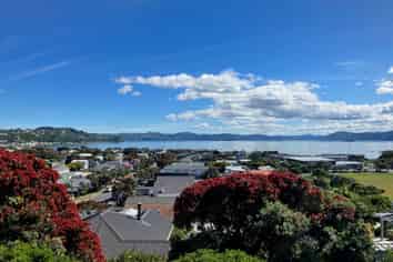 39b Mantell Street, Seatoun