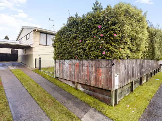 5 David Street, Nawton