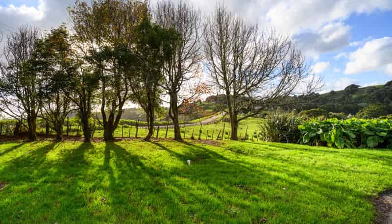 245 Hayward Road, Maungakaramea