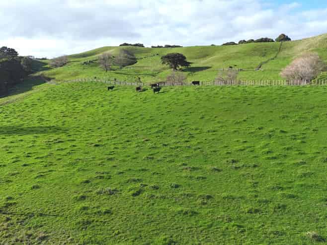 4326 Kaipara Coast Highway, Tauhoa