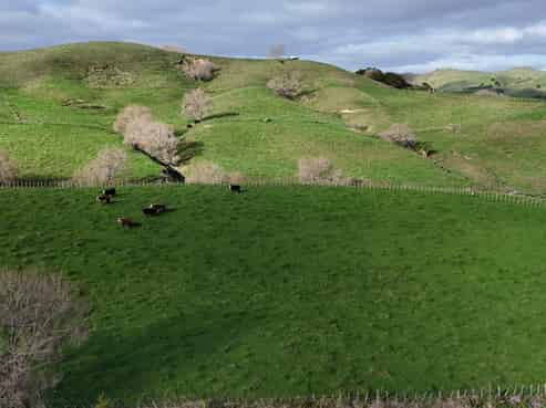 4326 Kaipara Coast Highway, Tauhoa