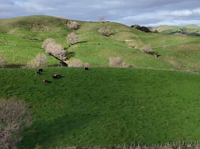 4326 Kaipara Coast Highway, Tauhoa
