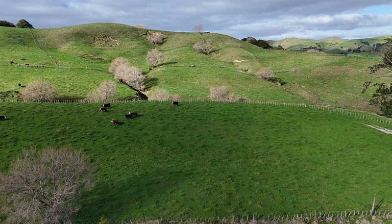 4326 Kaipara Coast Highway, Tauhoa