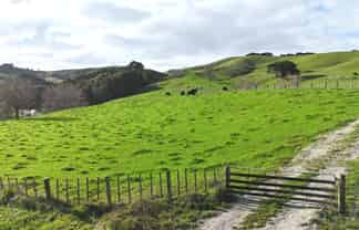 4326 Kaipara Coast Highway, Tauhoa
