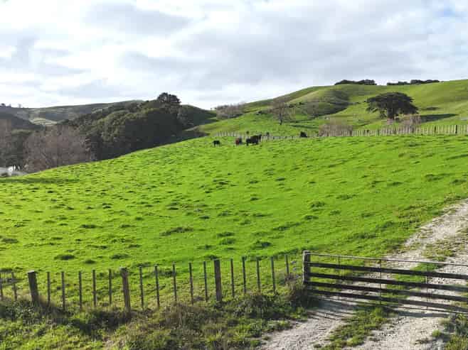 4326 Kaipara Coast Highway, Tauhoa