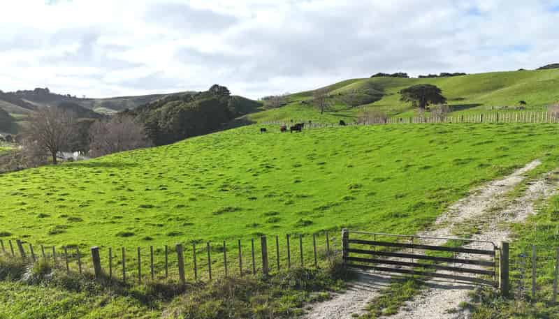 4326 Kaipara Coast Highway, Tauhoa