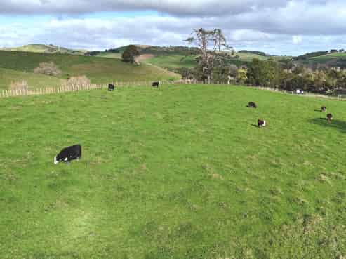 4326 Kaipara Coast Highway, Tauhoa