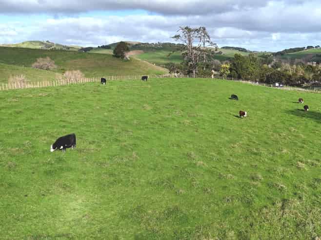 4326 Kaipara Coast Highway, Tauhoa