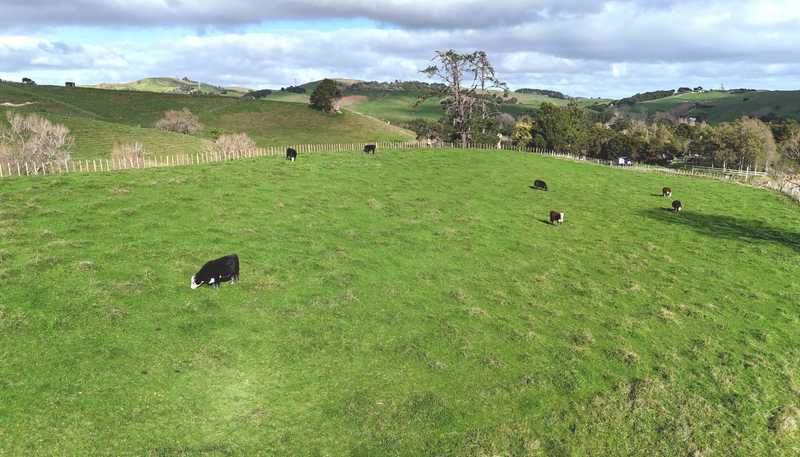 4326 Kaipara Coast Highway, Tauhoa