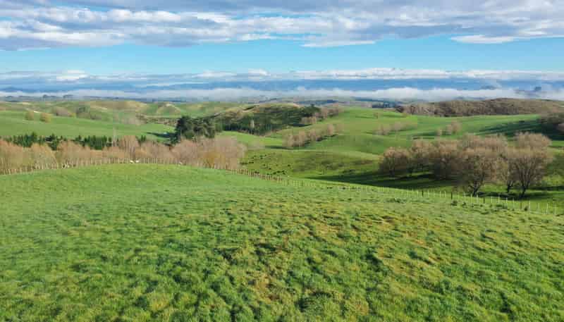 223 and 224 Peacock Road, Waipukurau