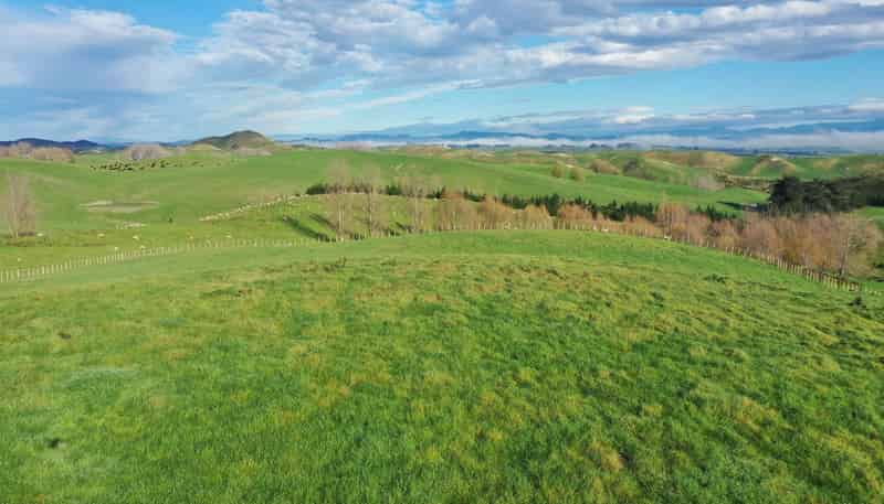 223 and 224 Peacock Road, Waipukurau