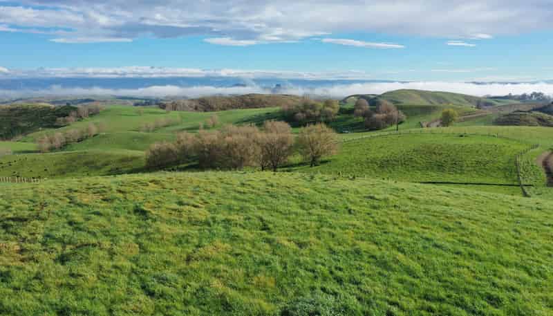 223 and 224 Peacock Road, Waipukurau