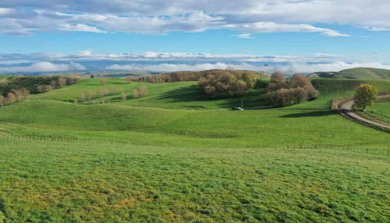223 and 224 Peacock Road, Waipukurau