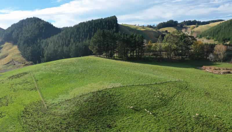 223 and 224 Peacock Road, Waipukurau