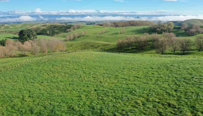 223 and 224 Peacock Road, Waipukurau