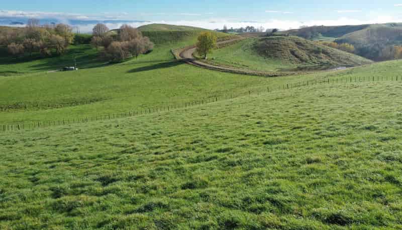 223 and 224 Peacock Road, Waipukurau