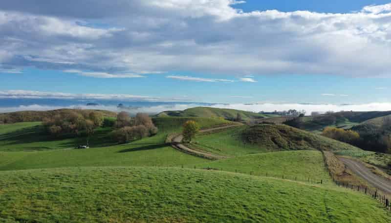 223 and 224 Peacock Road, Waipukurau