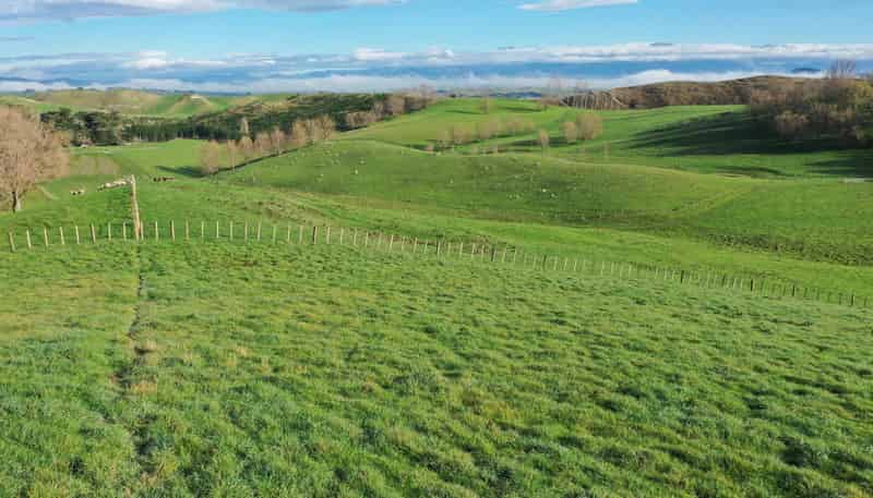 223 and 224 Peacock Road, Waipukurau