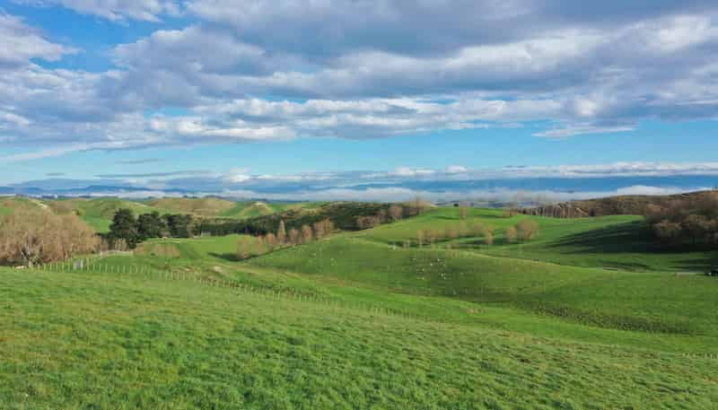 223 and 224 Peacock Road, Waipukurau