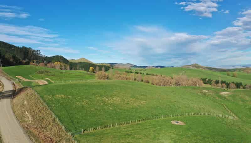 223 and 224 Peacock Road, Waipukurau