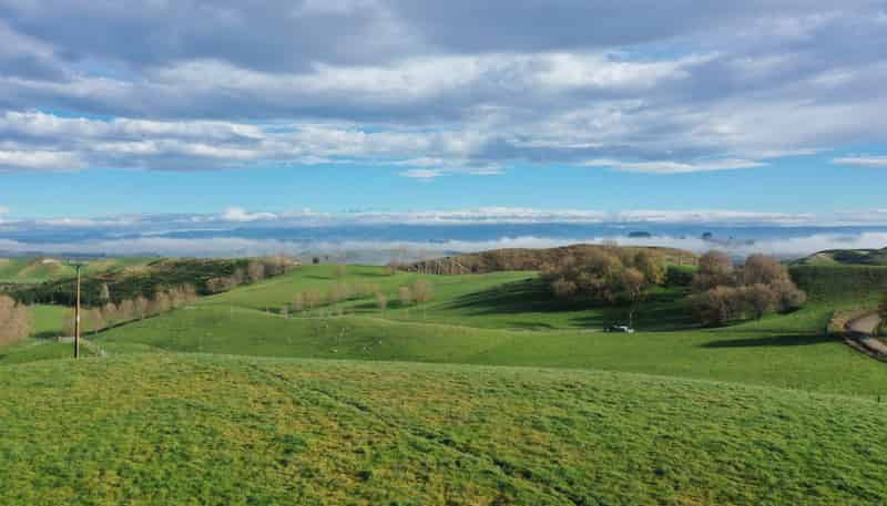 223 and 22 Peacock Road, Waipukurau