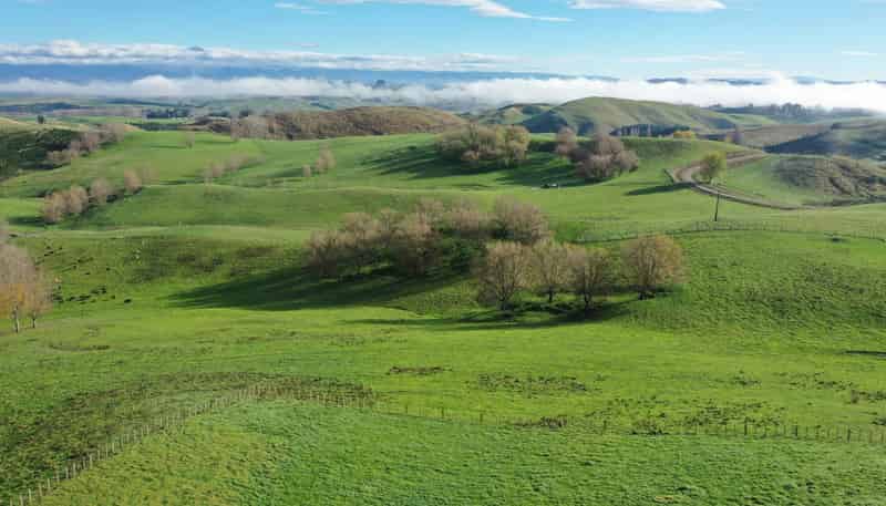 223 and 224 Peacock Road, Waipukurau