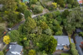 81 Wyndham Road, Pinehaven