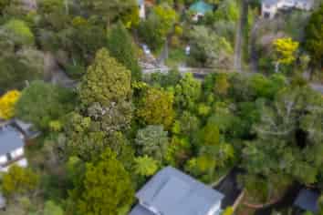 81 Wyndham Road, Pinehaven