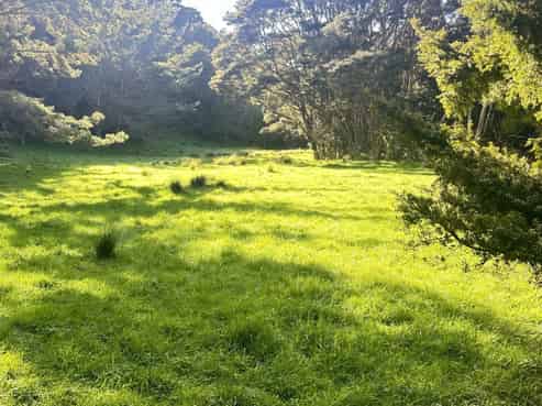 1155 Mataraua Road, Kaikohe